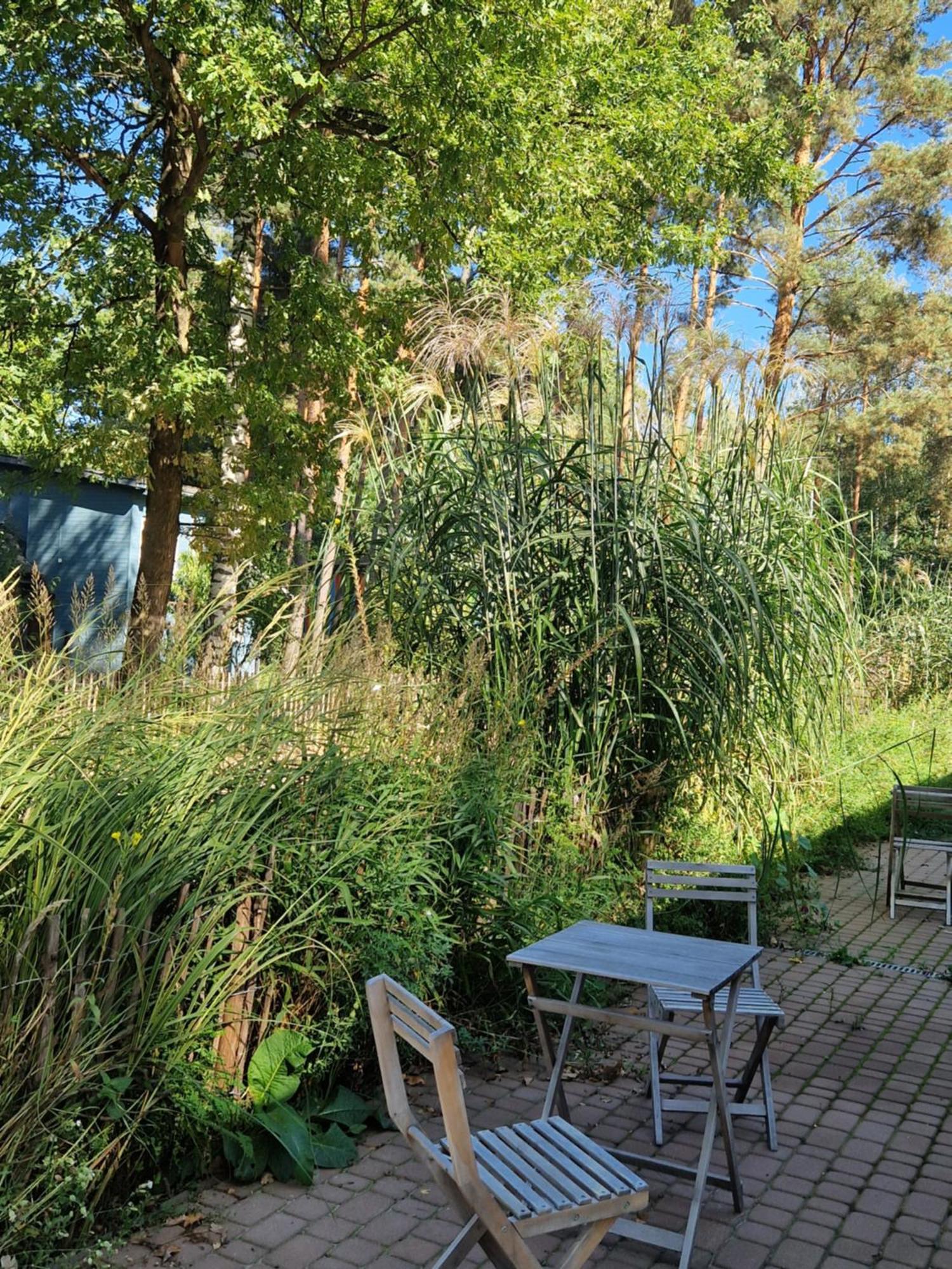 Wioska Pod Kogutem Villa Krepa  Eksteriør bilde